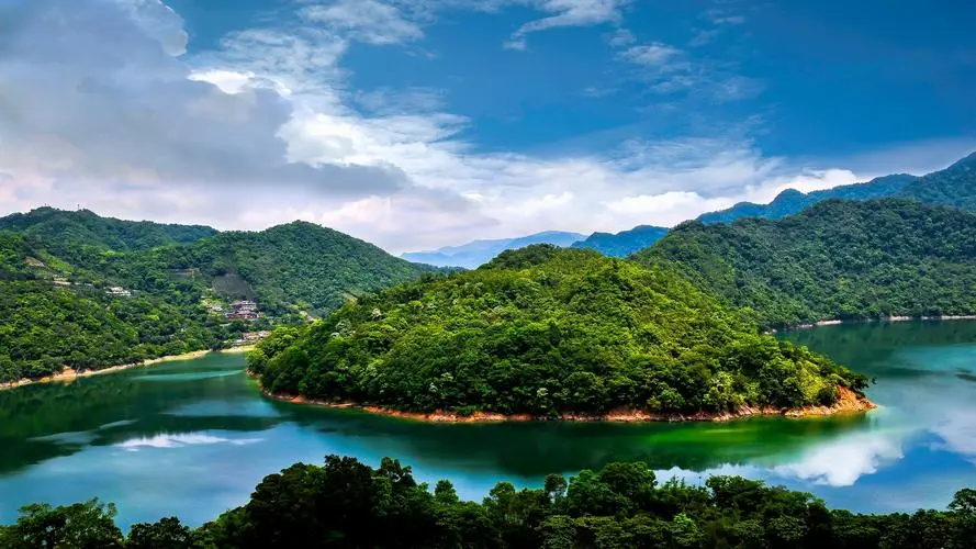 全自动高效高端